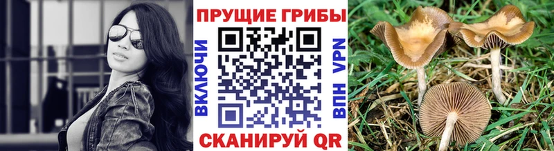 Галлюциногенные грибы мухоморы  Шиханы 