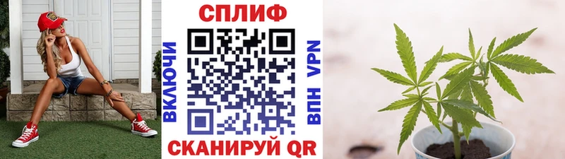 Каннабис гибрид  сайты даркнета клад  Шиханы 